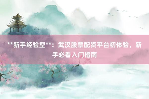 **新手经验型**:武汉股票配资平台初体验,新手必看入门指南