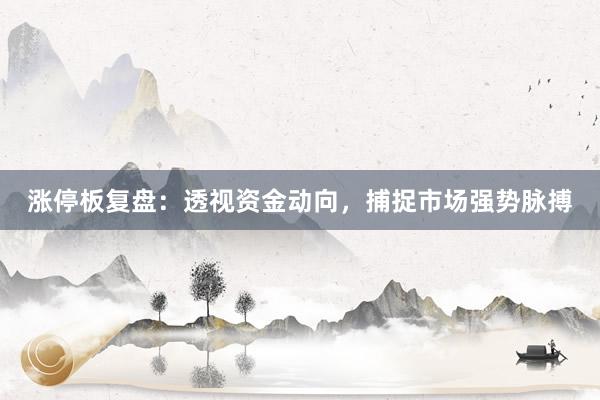 涨停板复盘：透视资金动向，捕捉市场强势脉搏
