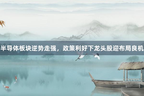 半导体板块逆势走强，政策利好下龙头股迎布局良机