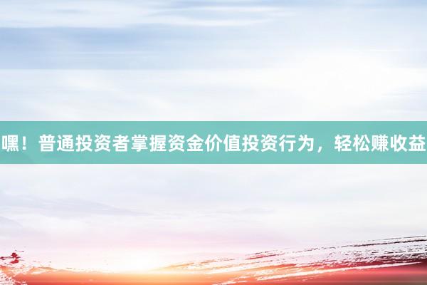 嘿！普通投资者掌握资金价值投资行为，轻松赚收益