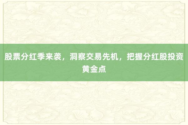 股票分红季来袭，洞察交易先机，把握分红股投资黄金点