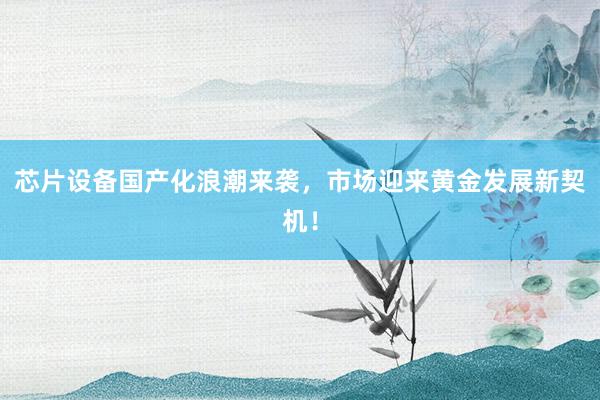 芯片设备国产化浪潮来袭，市场迎来黄金发展新契机！