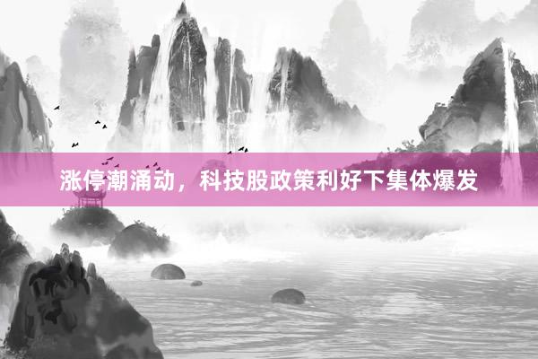 涨停潮涌动，科技股政策利好下集体爆发
