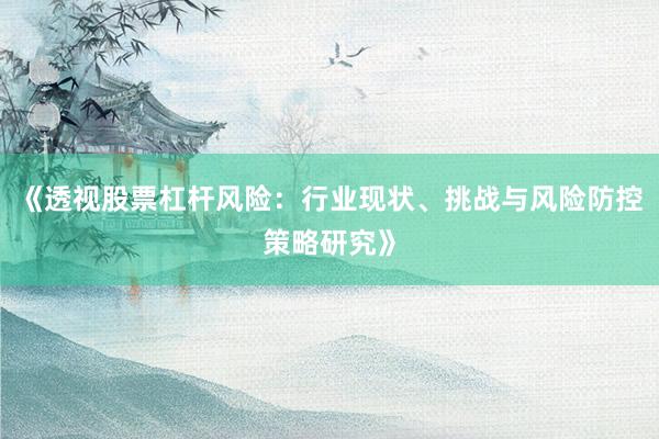 《透视股票杠杆风险：行业现状、挑战与风险防控策略研究》