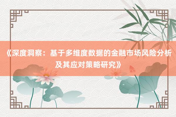 《深度洞察：基于多维度数据的金融市场风险分析及其应对策略研究》
