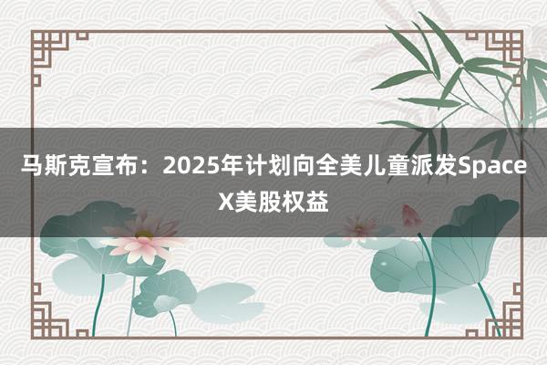 马斯克宣布：2025年计划向全美儿童派发SpaceX美股权益
