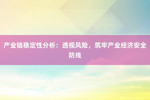 产业链稳定性分析：透视风险，筑牢产业经济安全防线
